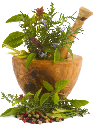 Herbalism and Healing